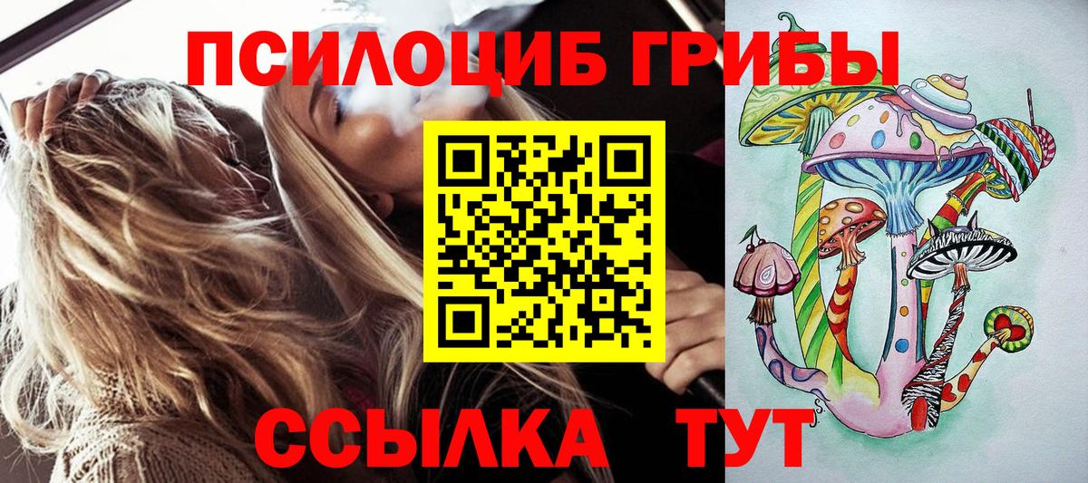 Галлюциногенные грибы MAGIC MUSHROOMS  Вход с VPN  Тольятти 