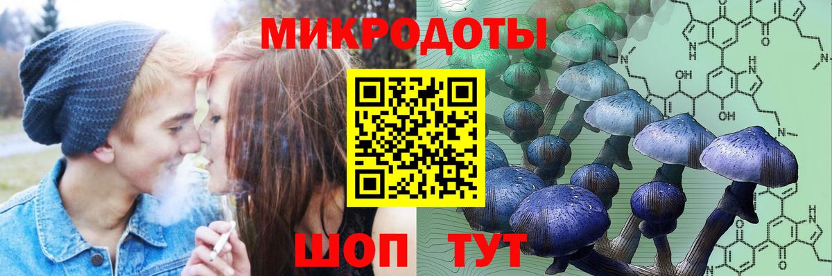 Галлюциногенные грибы GOLDEN TEACHER Тольятти